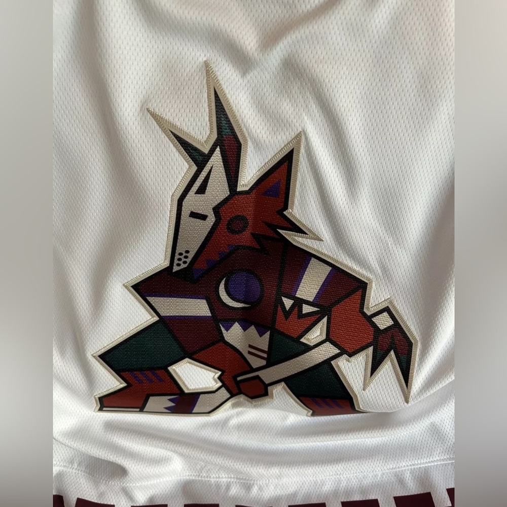 Fanatics Authentic Arizona Coyotes Kachina Breakaway Hockey Jersey Men’s Sz: XL - Picture 3 of 7